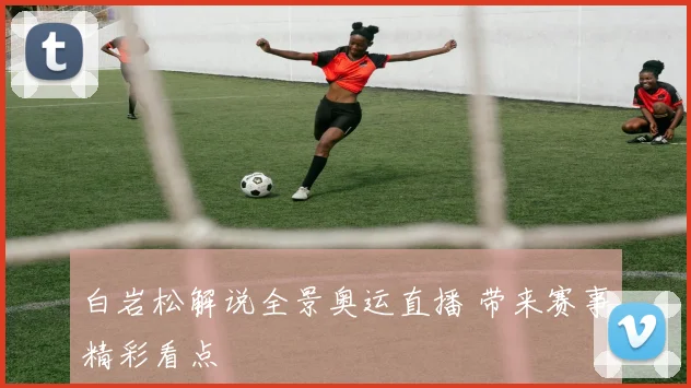 白岩松解说全景奥运直播 带来赛事精彩看点