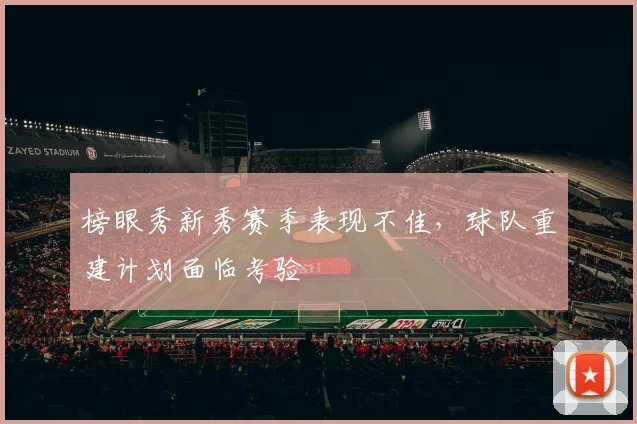 榜眼秀新秀赛季表现不佳，球队重建计划面临考验